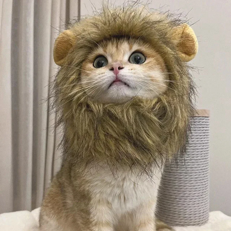 Lion costume for cats - Image 2