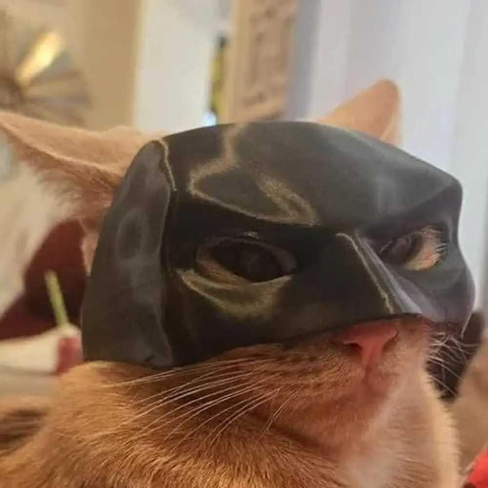 Bat Cat Mask - Image 3