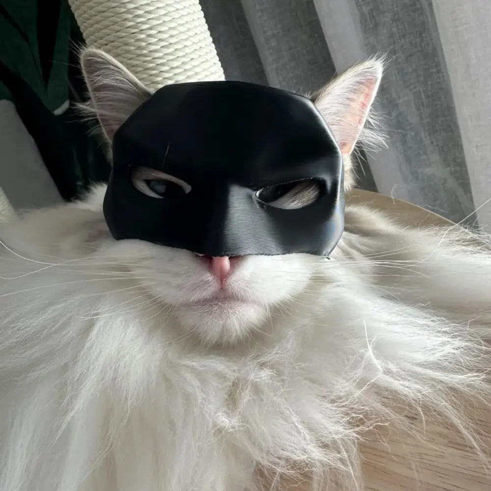 Bat Cat Mask - Image 6