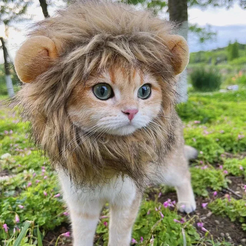 Lion costume for cats - Image 3