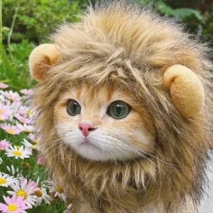 Lion costume for cats